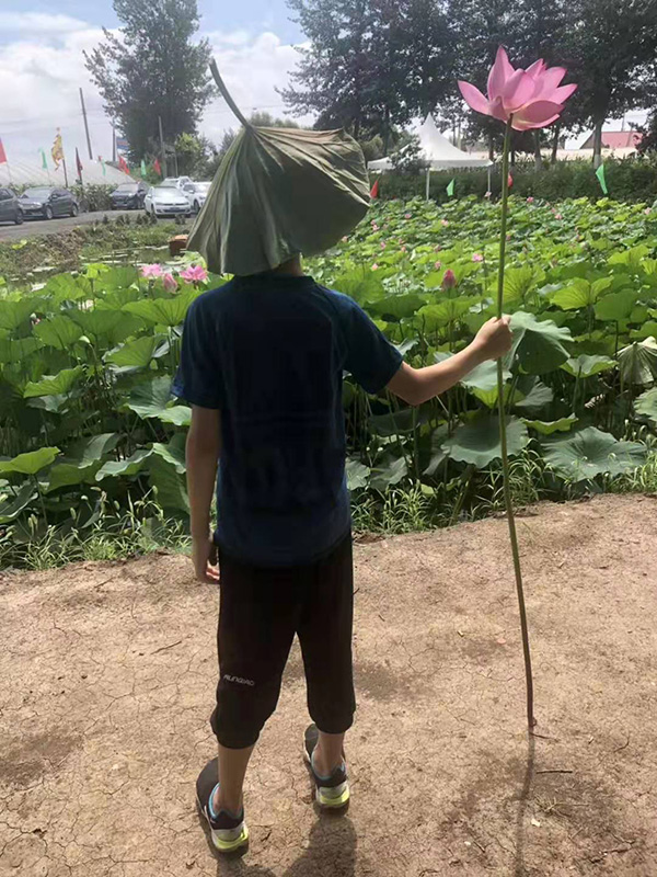 湖塘拍照